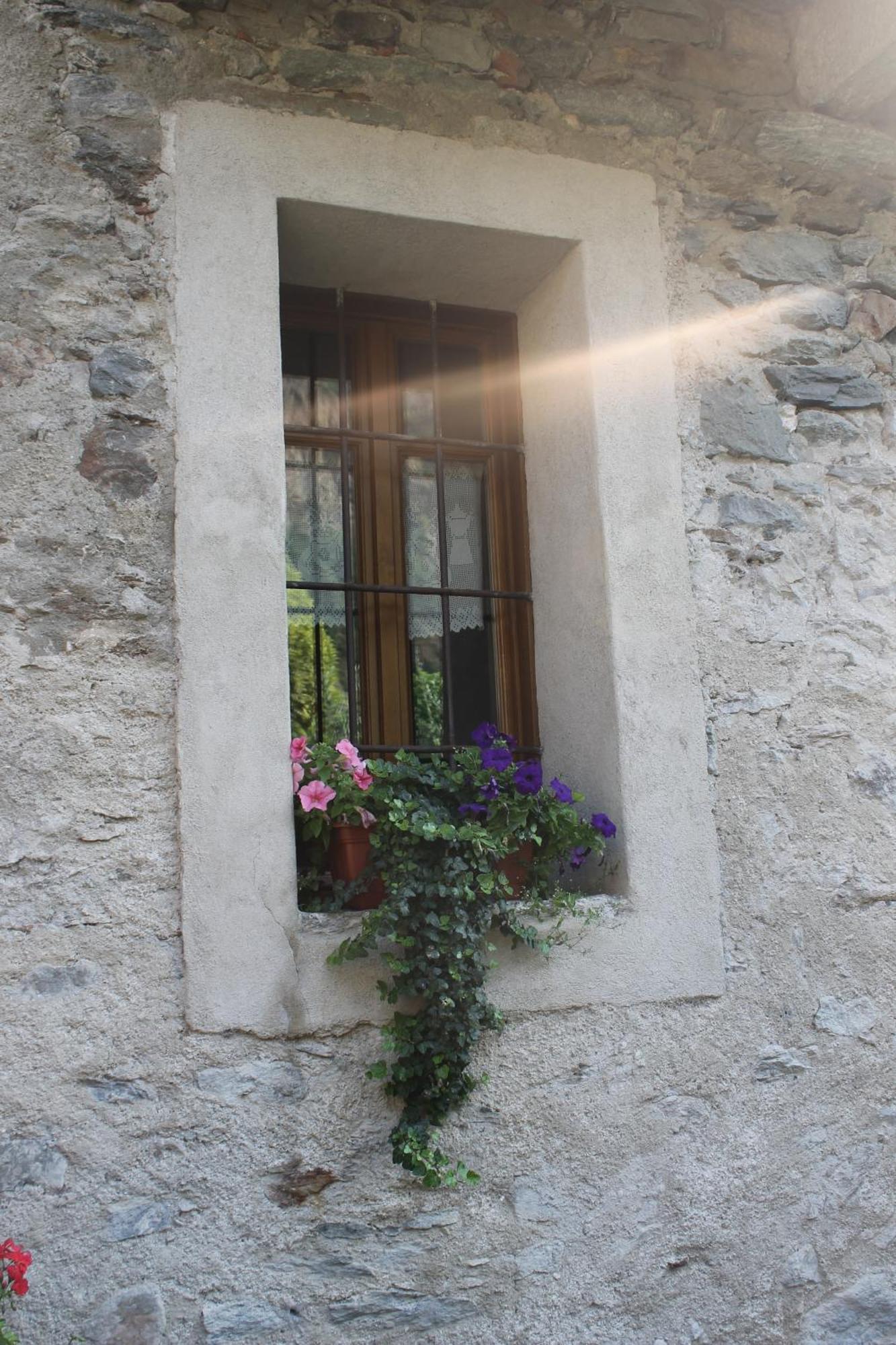 La Maison Des Vignerons Chambres D'Hotes B&B Donnaz Экстерьер фото