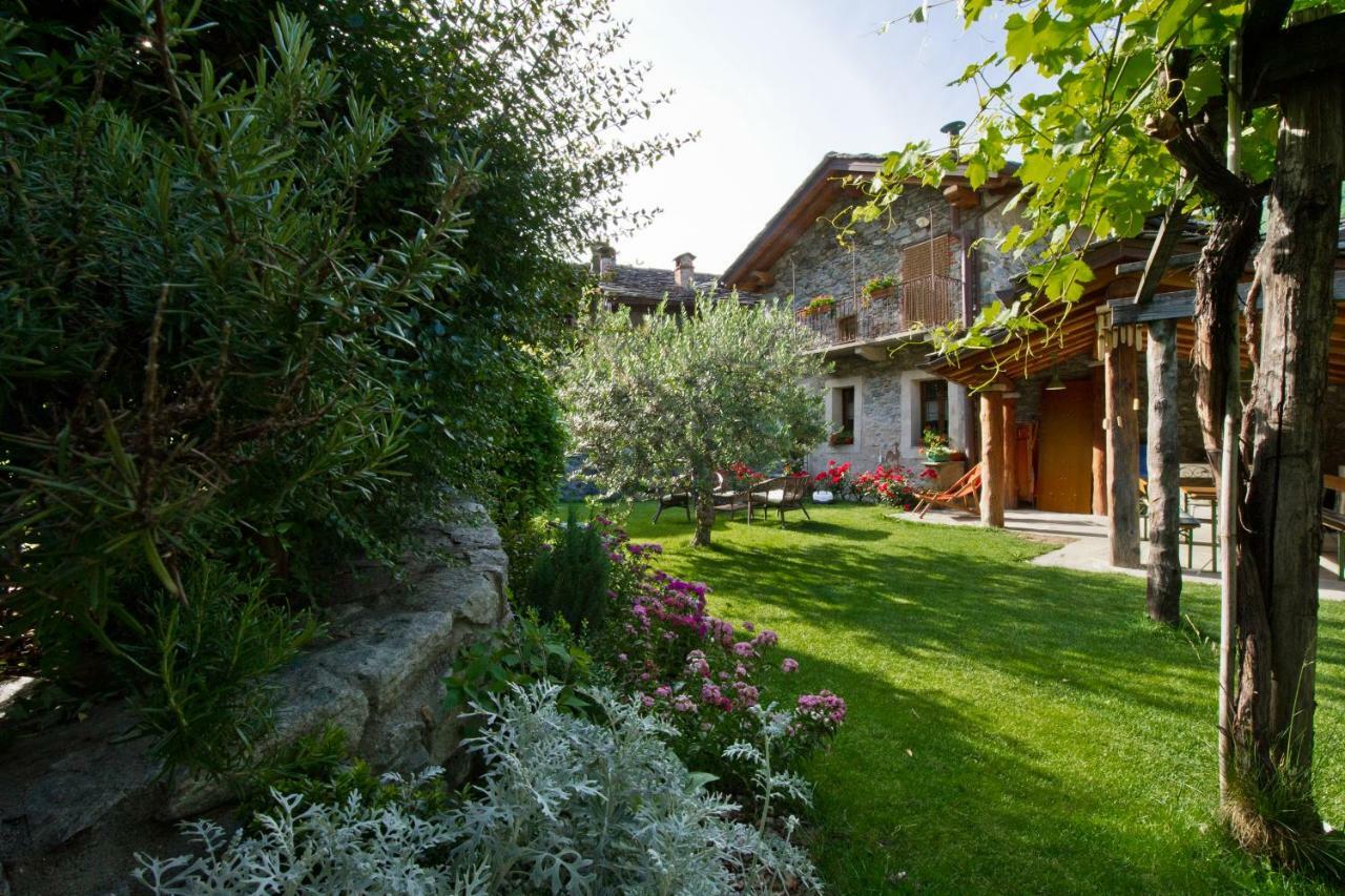 La Maison Des Vignerons Chambres D'Hotes B&B Donnaz Экстерьер фото